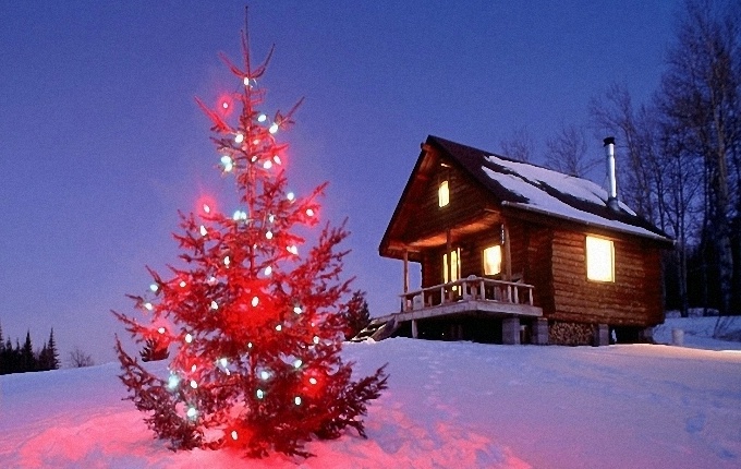 Аренда дома на Новый год